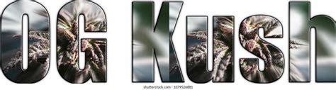 marijuana og kush logo stock photo  shutterstock