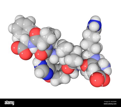 Angiotensin II Molecule Computer Model Showing The Structure Of A