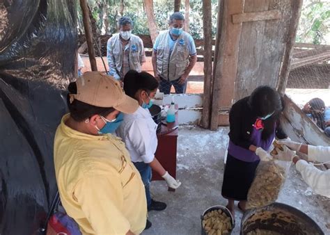 Capacitan A J Venes En El Cultivo De Hongo Tipo Ostra En Huehuetenango