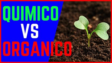 fertilizante QUÍMICO vs fertilizante ORGÁNICO CUAL es MEJOR como