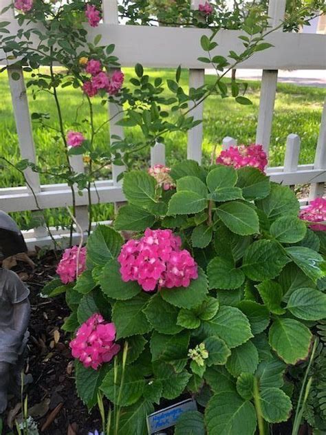 Details Make The Garden Fine Gardening