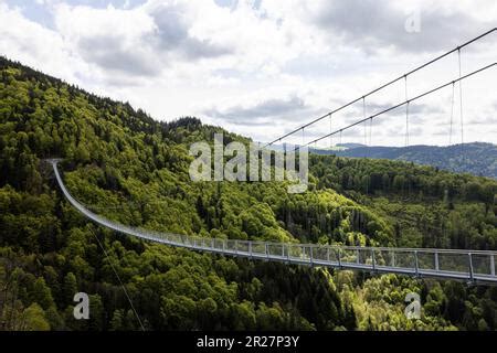 Todtnau Allemagne 17th mai 2023 Un pont suspendu traverse une vallée