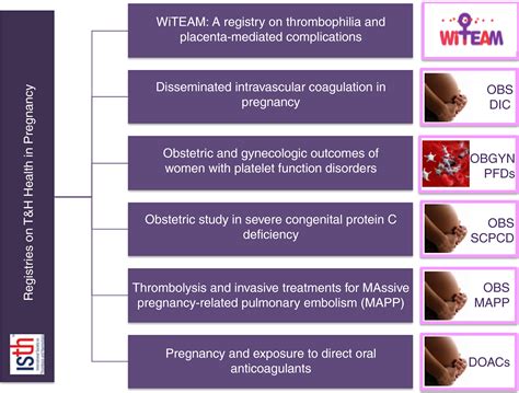 Thrombosis And Hemostasis Health In Pregnancy Registries From The