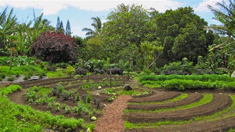 A Permacultura e como utilizá la na Agricultura Orgânica Rural Centro