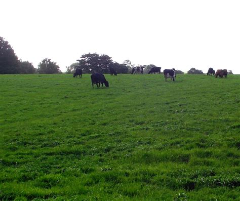 Blog: Mixed Farming Systems for the Future - Zero Carbon Cumbria ...