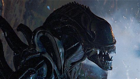 Alien Annunciata La Data D Uscita Del Nuovo Film Ecco Quando Arriver