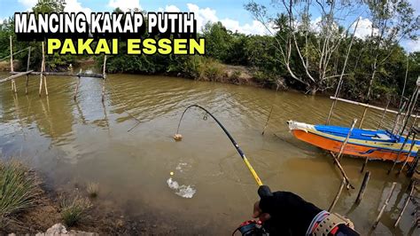 Mancing Kakap Putih Pakai Essen Youtube