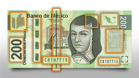 Guía De 14 Elementos Para Identificar Un Billete Falso Infobae