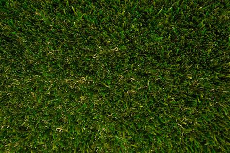 Synthetic Turf Colors Los Angeles Inglewood Santa Ana Agoura Hills Ca