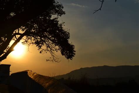 Free Images Landscape Tree Nature Horizon Branch Silhouette