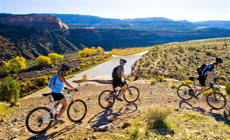 Mountain Bike Shops Colorado Springs - Bike Guide