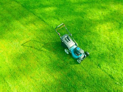 5 Common Lawn Care Myths You Probably Believe