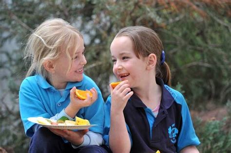 Comet Hill Pupils Continue To Get Fresh Start Bendigo Advertiser