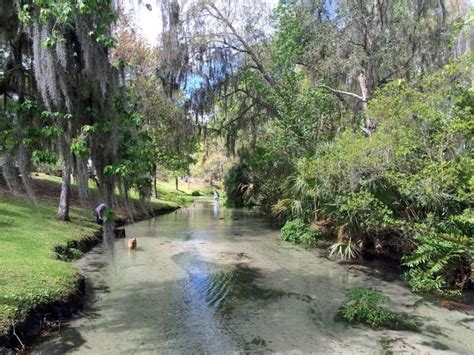 Wekiva Falls: Fabulous spring, campground and best river