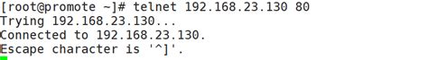 Linux Ping Telnet Nmap Nc Telnet Csdn