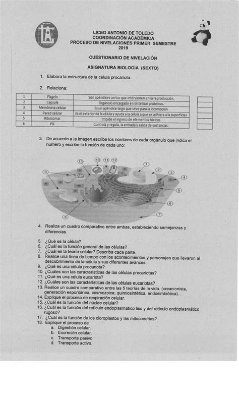 Pdf · Realice Un Cuadro Comparativo Entre Las 5 Teorías De La Vida