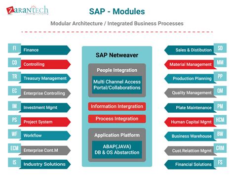 5 Key Areas To Enhance The Sap Knowledge Zarantech