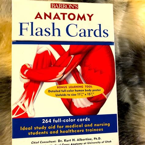 Other Anatomy Flash Card Set Poshmark