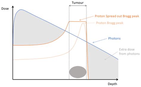 Depth Dose Distribution Of Photons Compared To Protons Download Scientific Diagram