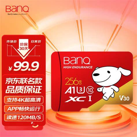 【京东joy联名款】banq 256gb Tf（microsd）存储卡 U3 C10 A1 4k V30 读速100mbs行车记录仪监控内存