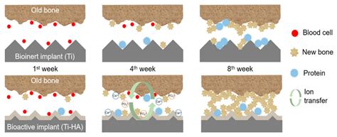 Coatings Free Full Text Recent Advancements In Surface Modification