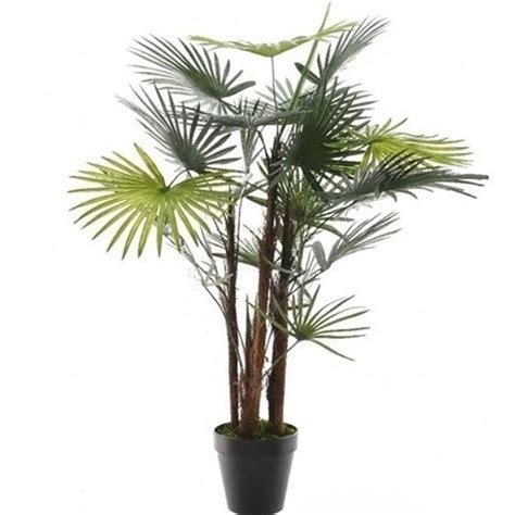 Groene Fortunei Handpalm Henneppalm Kunstplant 90 Cm In Zwarte Pot