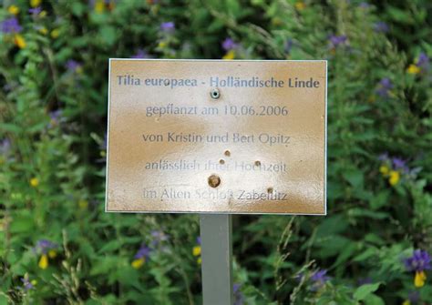 Besten Baum Pflanzen Hochzeit Beste Wohnkultur Bastelideen