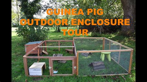 Guinea pig Outdoor enclosure tour - YouTube