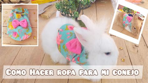 Como Hacer Ropa Para Tu Conejo Peque Os How To Make Rabbit Clothes