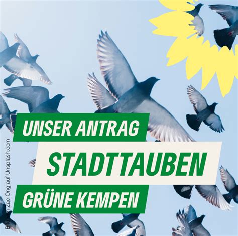 UNSER ANTRAG Tierschutzkonforme Kontrolle von Stadttauben Grüne