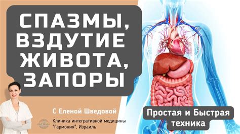 Спазмы, вздутие живота, запоры. Урок 2 по восстановлению работы ...