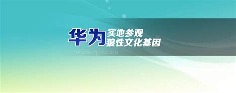 考察华为 学习华为狼性文化的基因 企业考察网