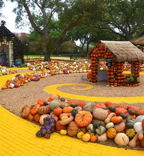 15 Pumpkin Patches Near Me - PureWow