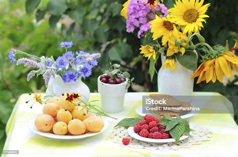 Aneka Buah Beri Dan Buahbuahan Foto Stok - Unduh Gambar Sekarang - Adiboga, Alam, Aprikot - Buah ...