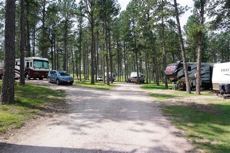 Explore Custer State Park: Tips for Your Trip - RV Hive