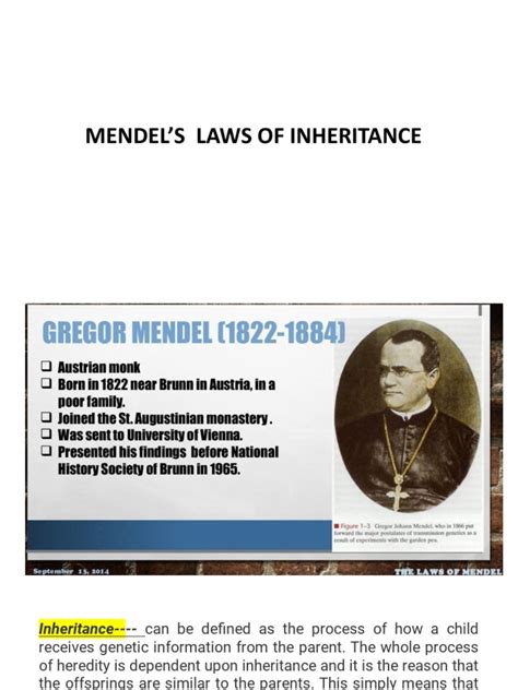 Ppt Mendels Laws Of Inheritance Pdf Genotype Zygosity