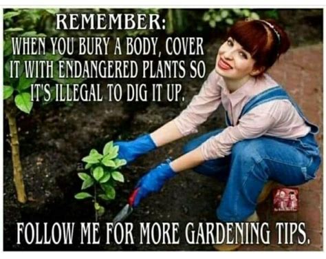 40 Funny Memes For People Who Love Their Plants -- Even If They Keep Killing Them