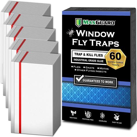 Maxguard Window Fly Traps 60 Xl Traps Catch And Kill Houseflies Flying