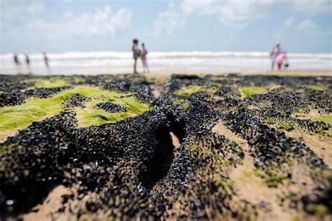 Detectadas manchas de óleo em nove praias de cinco estados do Nordeste