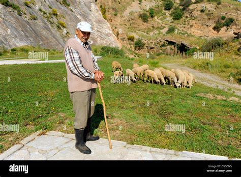 Sheep Herder Bulbul Mountain Ephesus Turkey Kusadasi Stock Photo Alamy