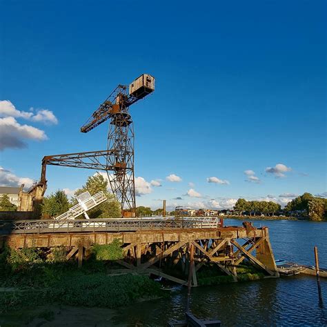 Apr S Ans Etpo Poursuit La Vie De La Grue Noire