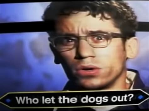 Who Let The Dogs Out The Question Has Finally Been Answered After