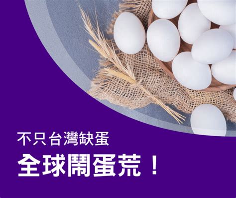 不只台灣，全球鬧蛋荒！「缺蛋」英文怎麼說？