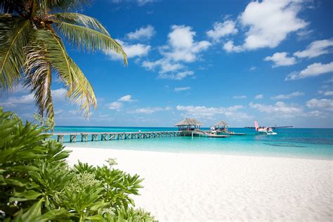 Lux South Ari Atoll The Maldives Experts For All Resort Hotels And