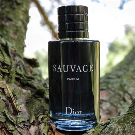 Nước Hoa Nam Christian Dior Sauvage Parfum The Perfume House