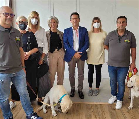 I Cani Tornano Nella Rsa Della Fondazione Cittadella Della Carit