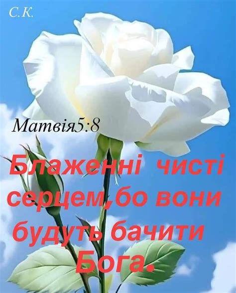 Ісус любить тебе | Привітаймо наших нових учасників