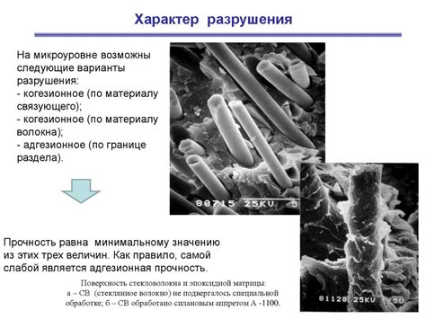 Основы адгезионного взаимодействия - online presentation