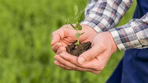 Los Agricultores Y Ganaderos Afirman Que Para Ser Sostenibles Primero