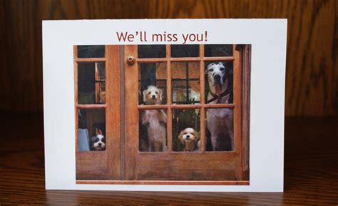 Dog Farewell Card Goodbye Card Etsy